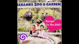 Escape To The Zoo,