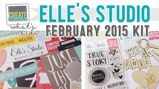 What's Inside: Elle's Studio FEBRUARY 2015 Kit (Project Life) + Stamps + Wood Veneer