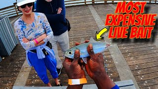 Catching the MOST EXPENSIVE Live Bait in the World
