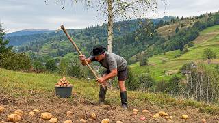 Carpathian Life and Potato Harvest in the Village