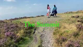 Moel Arthur