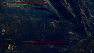 ELDEN RING_20240703013310