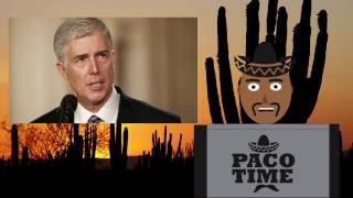Paco Time | Weekly Update | Episode 1