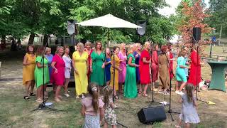 Los @muziekcafe barbiertje vestingdagen 2022