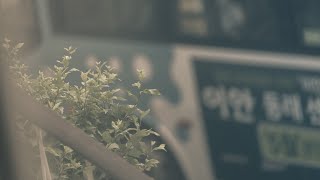Chuyện nhạc số 7: những bài hát để sing along lúc íu lòng