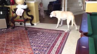 Run run run