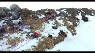 MOST NUMBER OF JALUR GEMILANG ON ANNAPURNA BASE CAMP