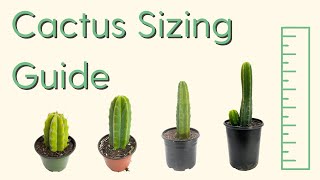 Cactus & Cutting Sizing Guide