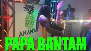 SPOT PAPA BANTAM CHAMP