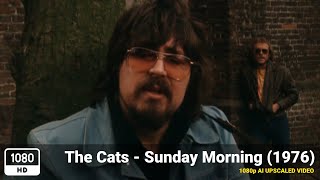 The Cats - Sunday Mornings (1976) [1080p HD Upscale]