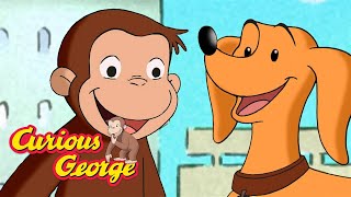 Follow That Toy! 🐵 Curious George 🐵 Kids Cartoon 🐵 Kids Movies
