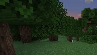 First Minecraft Video