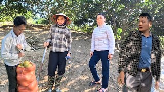 The landlady suddenly appeared, the message left me confused. Ly Vy Ca 