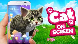 Funny cat on screen.