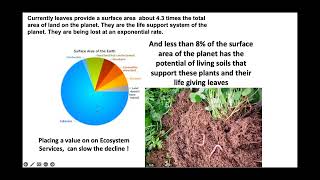 Understanding the categorical values of Ecosystem Services
