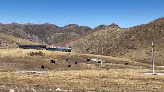 Chodrak Nunnery Tibet
