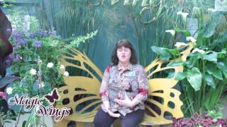 Magic Wings Butterfly Conservatory: Preferred Entertainment