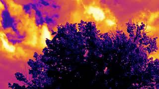 Copy of I'm being watched 9am 06/24/18