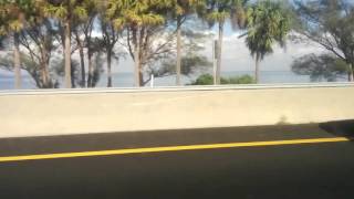 Tampa Florida Christmas poetic moments cc-by lemasney