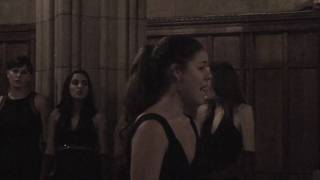 Yale's Something Extra: Woodstock (2008)