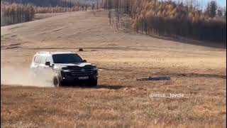 Toyota landcruiser 300