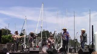 48th Annual World's Largest Salmon BBQ - 2nd Hand Grass