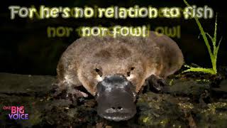 Old Man Platypus - Banjo Paterson Lyric Video