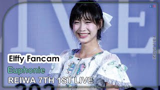 [Fancam] Elffy Euphonie - Full Stage @ REIWA 7TH 1ST LIVE 04012025