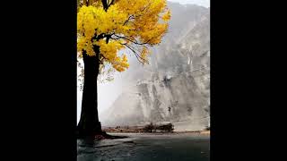 L'automne , Animer un tableau selon l'IA