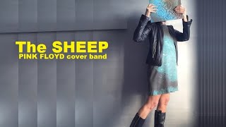 The Sheep - Pink Floyd Tribute Band - ONE OF THESE DAYS