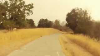 i want to ride my bicycle