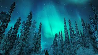 David Carnes, 'Jesus, Joy of Man's Desiring' (J. S. Bach)