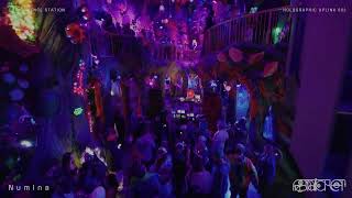 Paul Basic | Live at Danceportation | Numina Stage | Friday 2.13.25