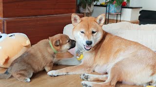 Playing cheeky with mom ❤️