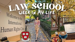 Harvard Law School Vlog: human rights clinic, open bars and Justice Breyer + how I write an essay