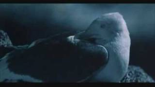 Neil Diamond - Be - Jonathan Livingston Seagull