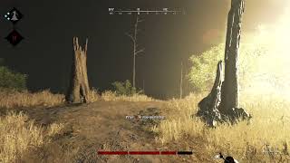 Dynamite