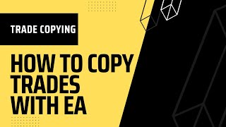 How to copy trades with EA?