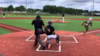 Naim Foster Travel Season Highlights
