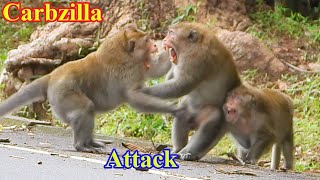Break heart new King Kiko attack with father Balu so hard |