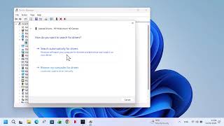 How to update, disable, or uninstall your camera driver on Windows 11