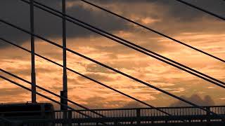 [드라이브 하며 듣기 좋은 곡] John Mayer -  All I Want Is to Be With You