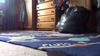 Roomba first person view