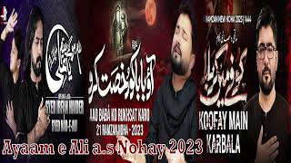 Koofay Mai Karbala - Mir Hasan Mir I Hum Hogaye Yateem - Irfan Haider I Aao Baba - Raza Abbas Zaidi