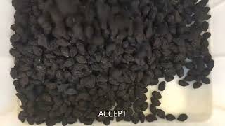 OPTIMUM SORTING-Inspección y clasificación de frutas deshidratadas