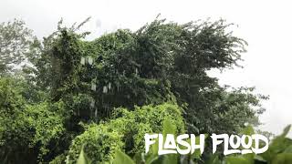 Flash Flood-CG tease