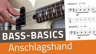 Bass Basics: Tipps für die Anschlagshand – Dynamik