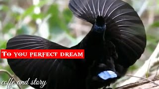 sleep music to sleep soundly in sweet dreams