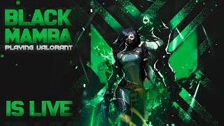 Black Mamba Gaming Live Stream
