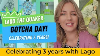 Celebrating Lago the Quaker Parrot's Gotcha Day: Three Years of Unforgettable Moments!